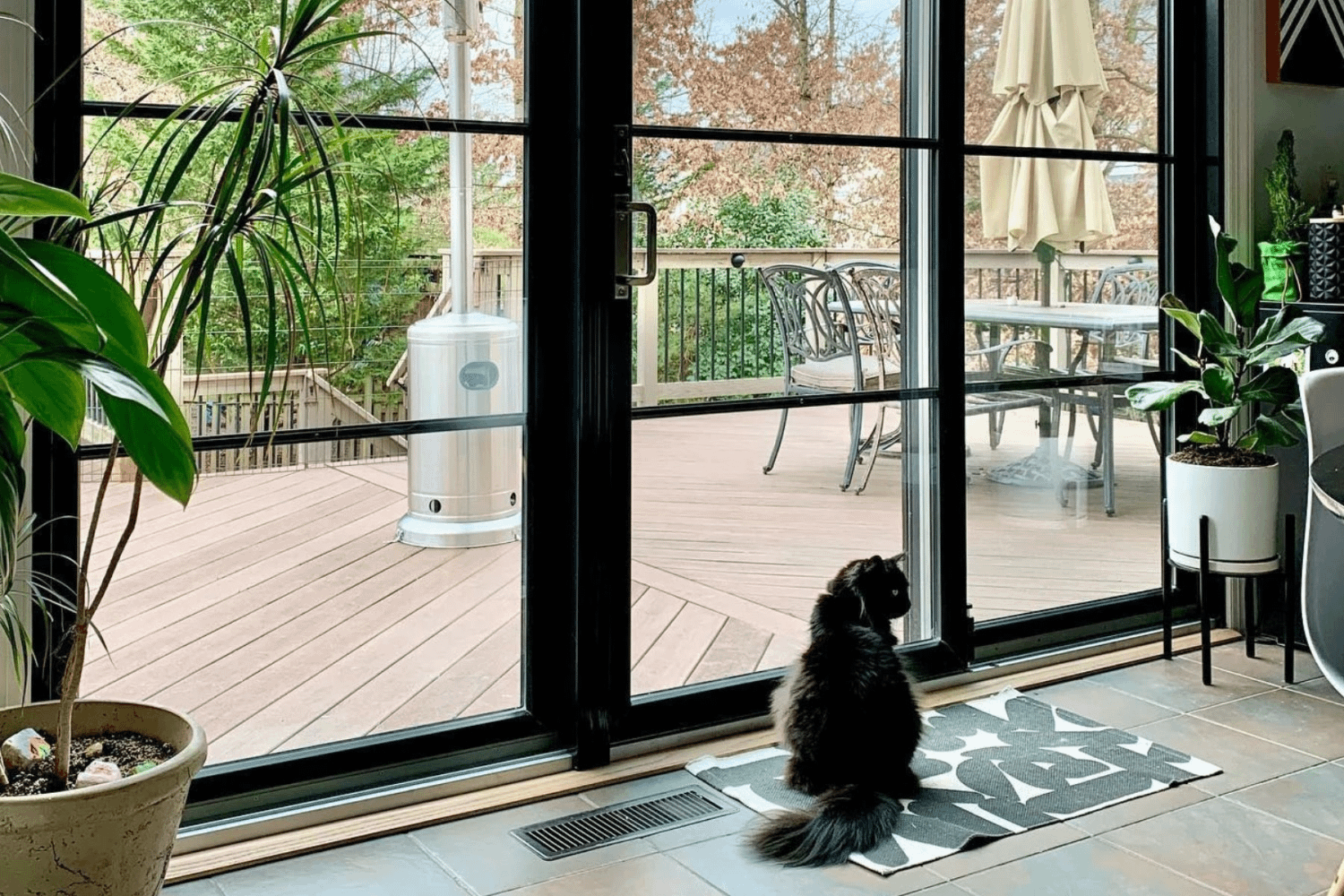 A cat staring outside a clear Renewal by Andersen windows