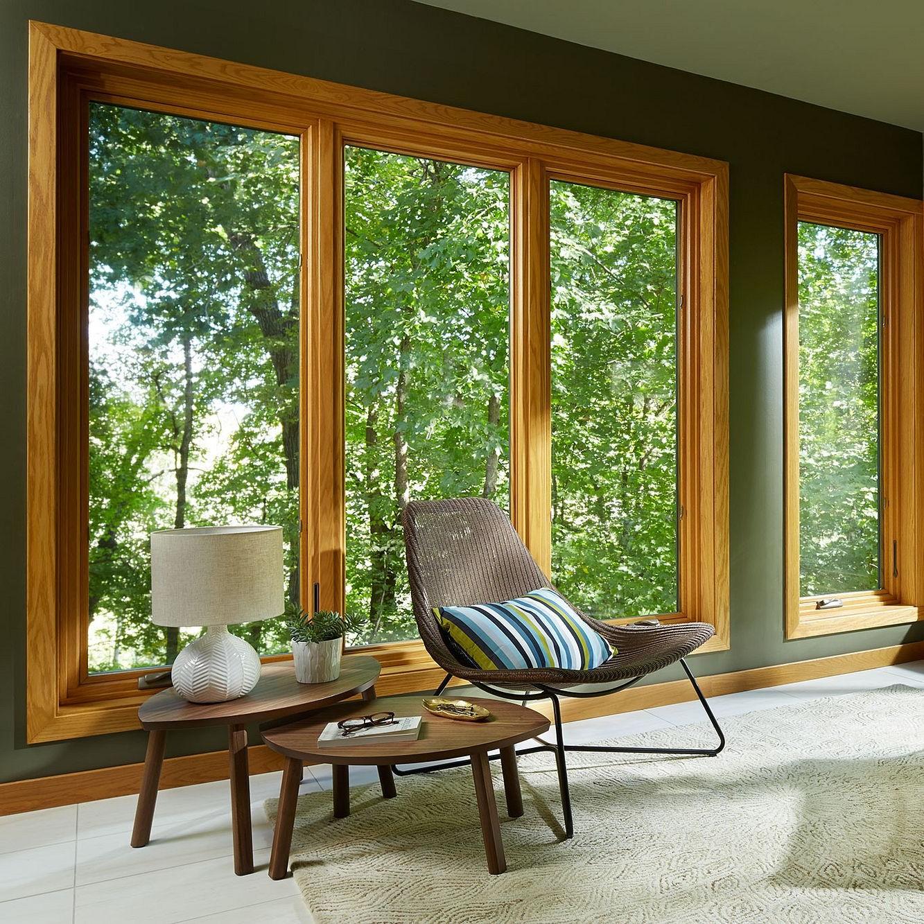 A living room in a shaded area with lots of trees outside. The windows are wood interior, with no grilles. Floor to ceiling casements.