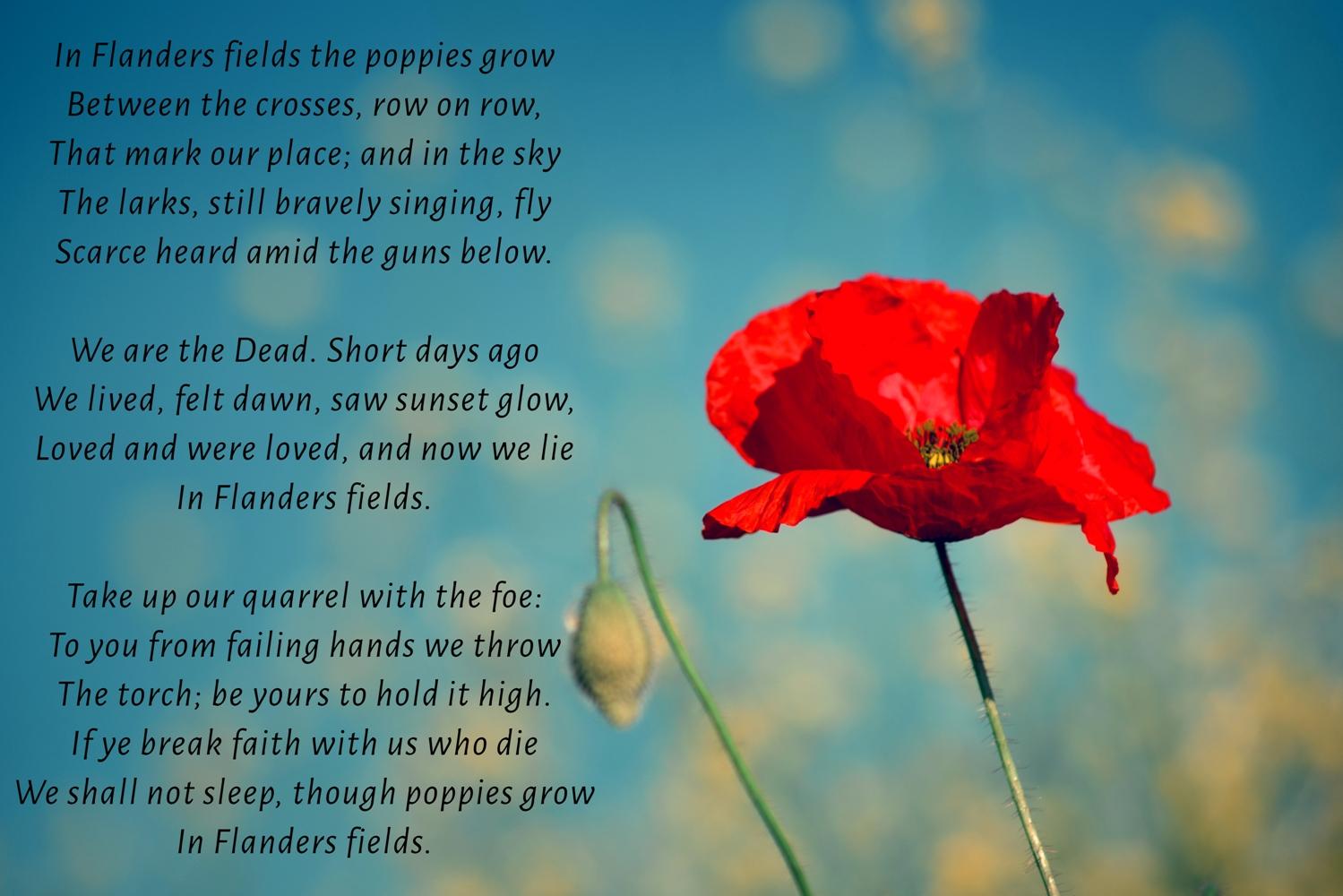 Paying Tribute This Memorial Day Paying Tribute This Memorial Day